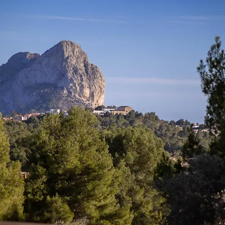 Alosa By Abahana Calpe